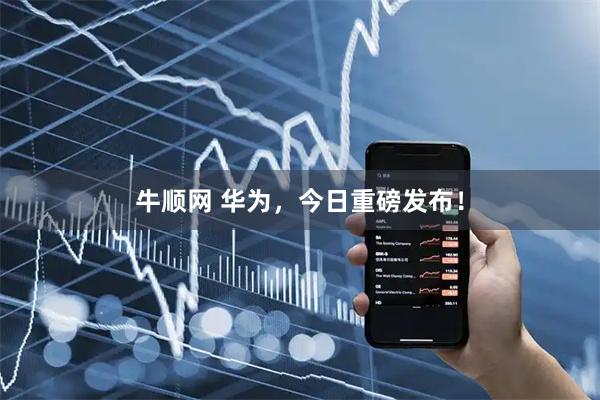 牛顺网 华为，今日重磅发布！