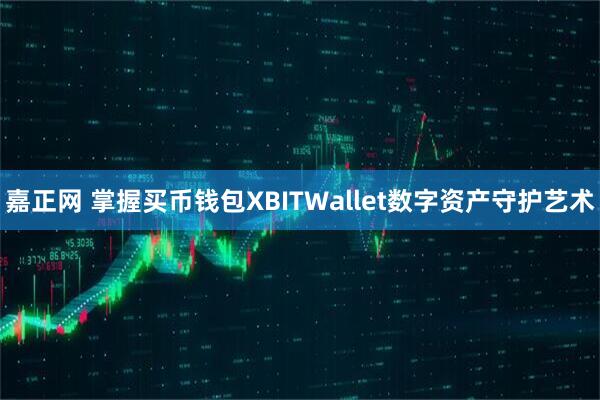 嘉正网 掌握买币钱包XBITWallet数字资产守护艺术
