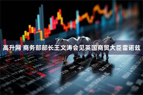 高升网 商务部部长王文涛会见英国商贸大臣雷诺兹