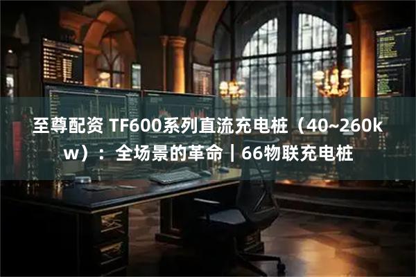 至尊配资 TF600系列直流充电桩(40~260kw):全场景的革命|66物联充电桩