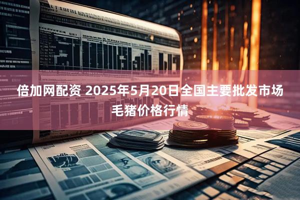 倍加网配资 2025年5月20日全国主要批发市场毛猪价格行情