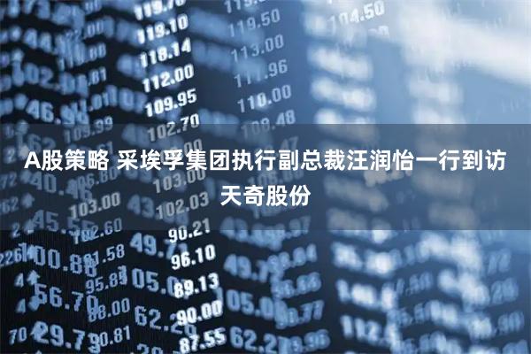A股策略 采埃孚集团执行副总裁汪润怡一行到访天奇股份