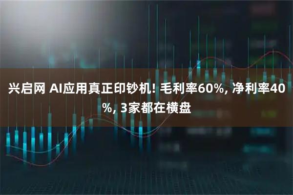兴启网 AI应用真正印钞机! 毛利率60%, 净利率40%, 3家都在横盘