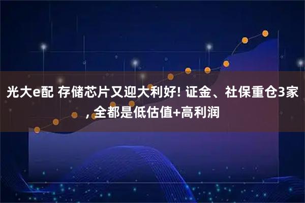 光大e配 存储芯片又迎大利好! 证金、社保重仓3家, 全都是低估值+高利润