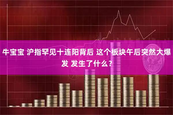 牛宝宝 沪指罕见十连阳背后 这个板块午后突然大爆发 发生了什么？