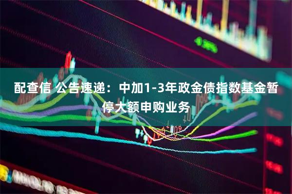 配查信 公告速递：中加1-3年政金债指数基金暂停大额申购业务