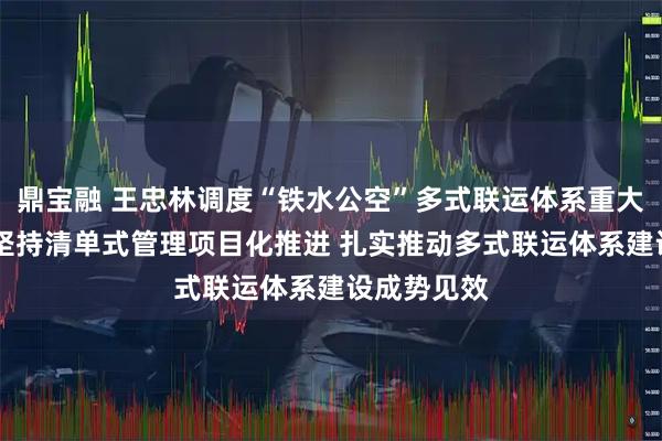 鼎宝融 王忠林调度“铁水公空”多式联运体系重大项目建设 坚持清单式管理项目化推进 扎实推动多式联运体系建设成势见效