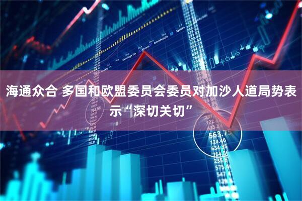 海通众合 多国和欧盟委员会委员对加沙人道局势表示“深切关切”