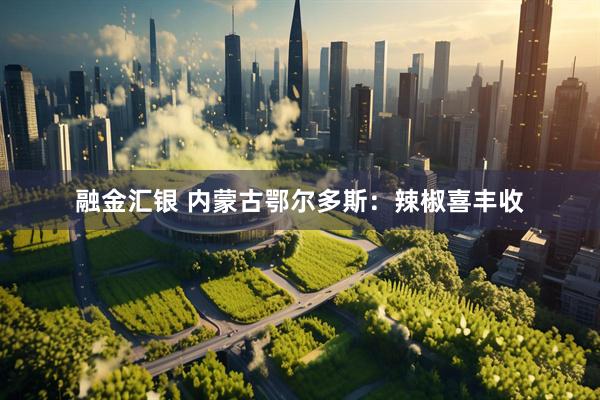 融金汇银 内蒙古鄂尔多斯：辣椒喜丰收